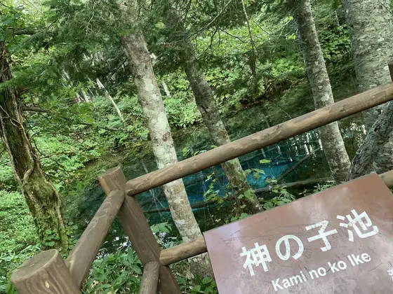 神の子池