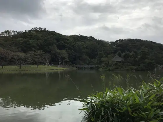 大池だけに大きいです。