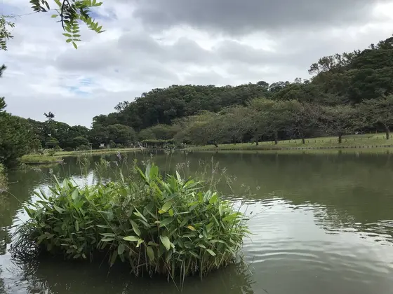 浮島風味の小島まで