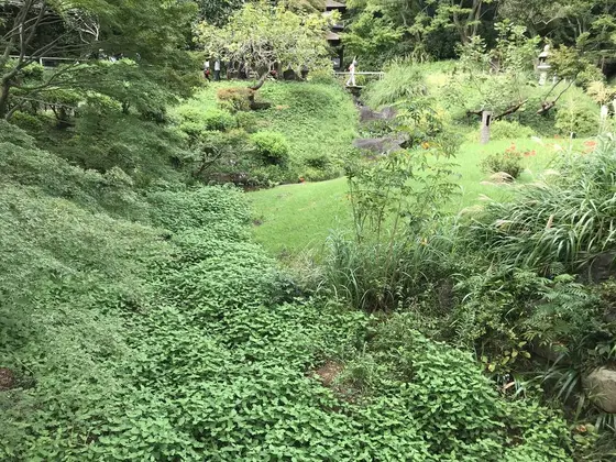 画像だと分かり辛い。