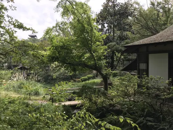 奥に三重塔