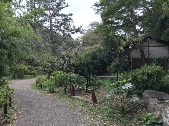 梅園近くのお茶屋さん