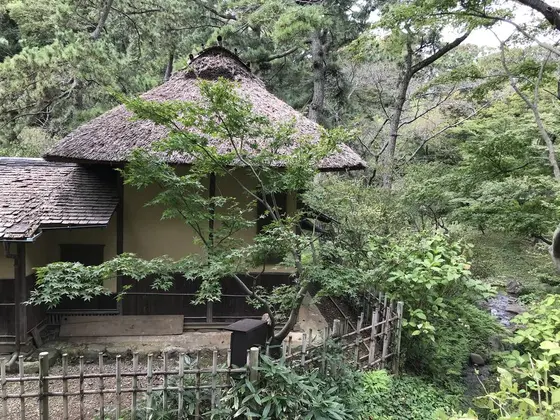 そろそろ一周