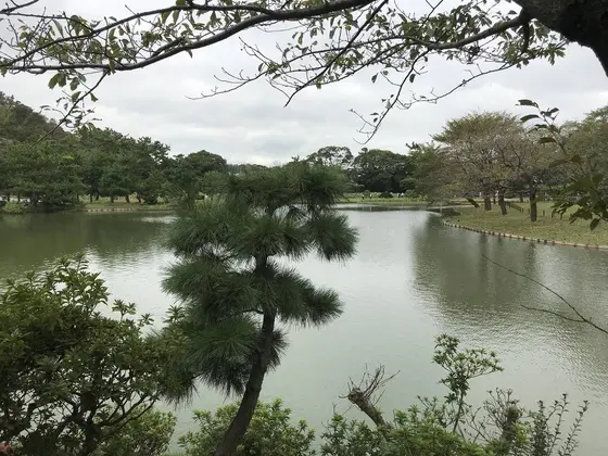 小島からの眺め