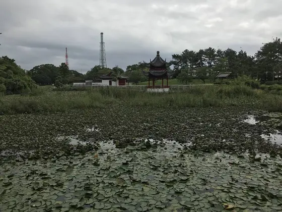 上海から送られた東屋