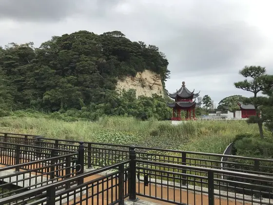 草ボウボウですが池ですw