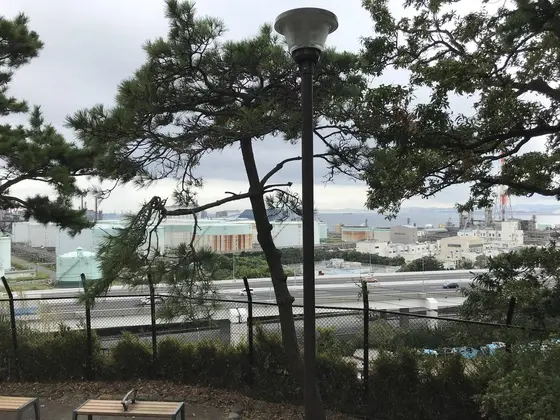 展望台からの眺め