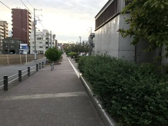 飽きて来たので