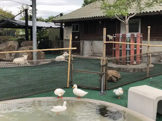 ふれあい広場