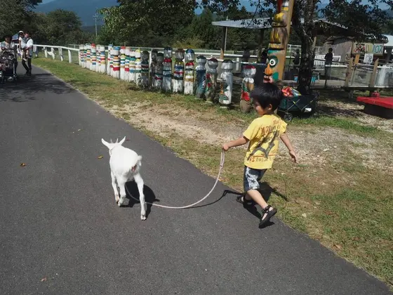 スポット内のおすすめ