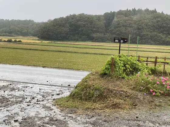 田舎に囲こまれる珈琲工房