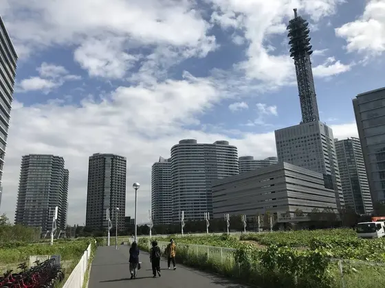 ヤマハのビルの建設予定地