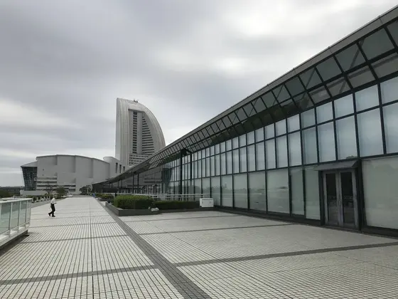 長いです。