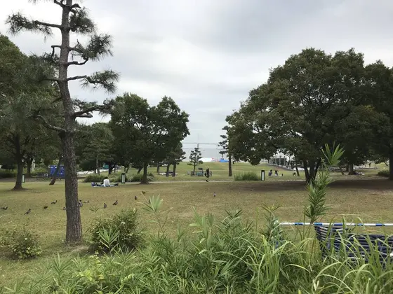 芝生の広がる気持ち良い公園