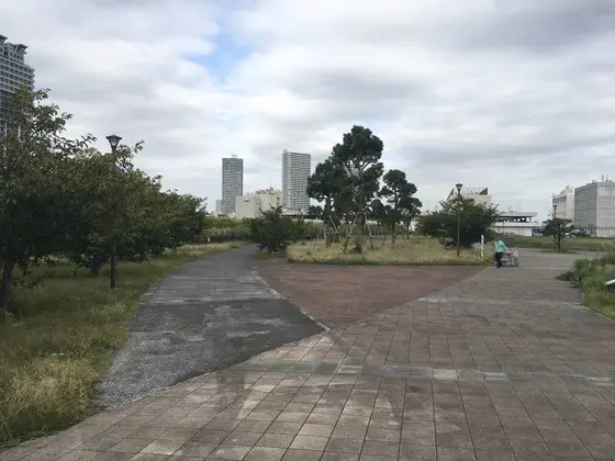 水際線公園