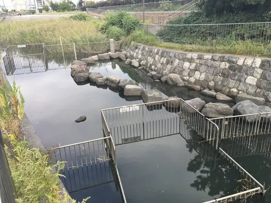 何だか、こういうの多いです。