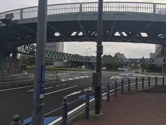 新港サークルウォークを下から