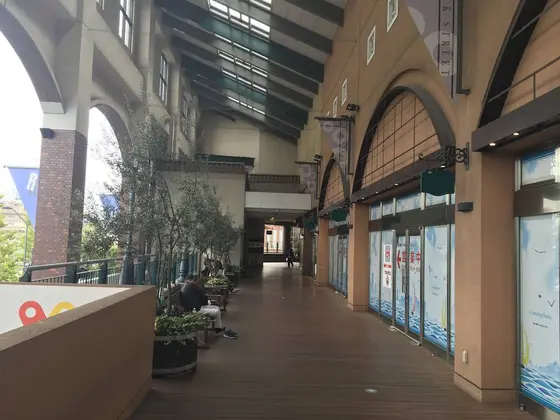ワーポに戻ります。