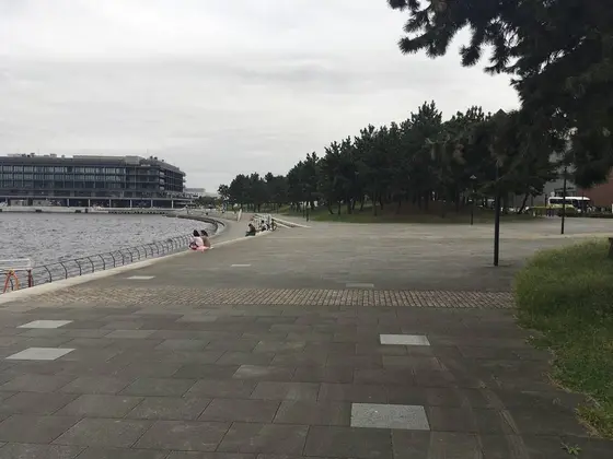 海沿いは一大グリーンベルト