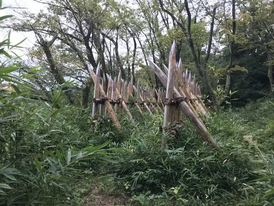 三成陣跡、生々しい！