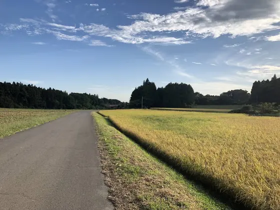 サイクリングルート 復路④