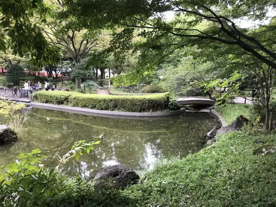 西洋式公園の中の日本庭園