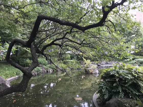 街もカオスなら公園もカオスw