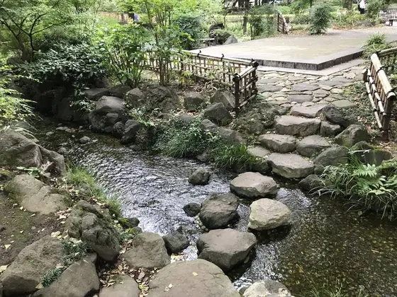 池の水が綺麗