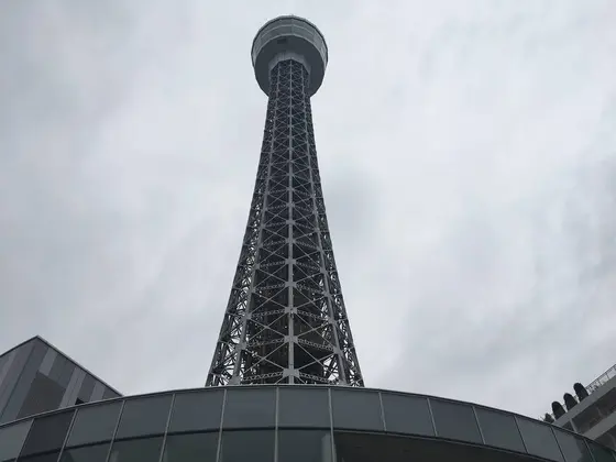 真下からど〜ん