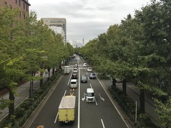 ポーリン橋からの眺め