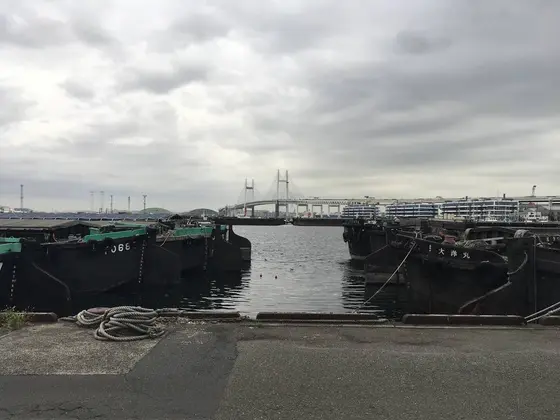 しっかし、小汚いw