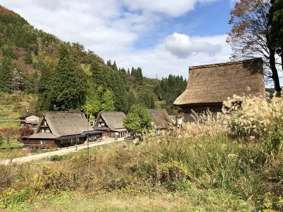 自然の中に