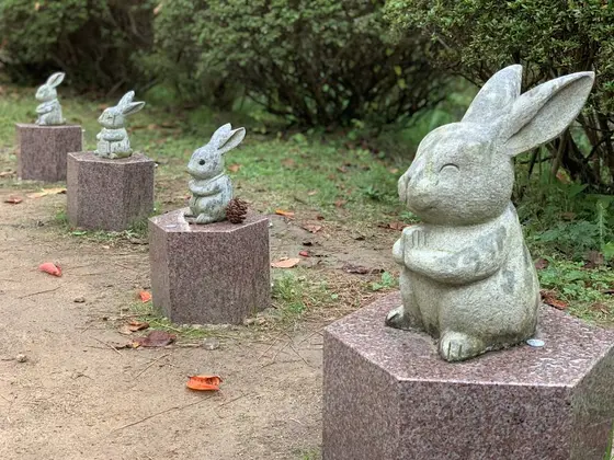 松の参道
