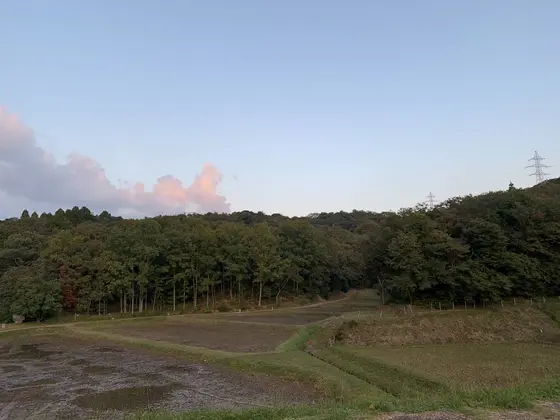 荒神谷遺跡