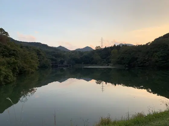 荒神谷遺跡