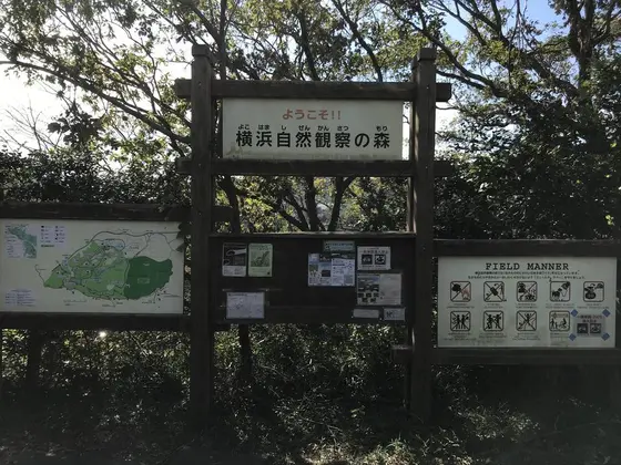 入り口でございます。