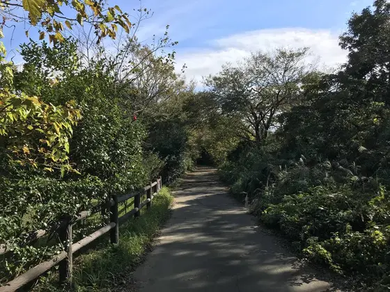 色々なルートと園内名所