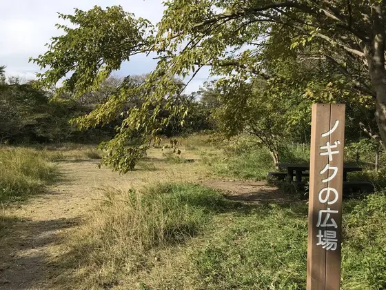 ノギクの広場