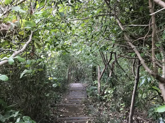 永遠と階段がw