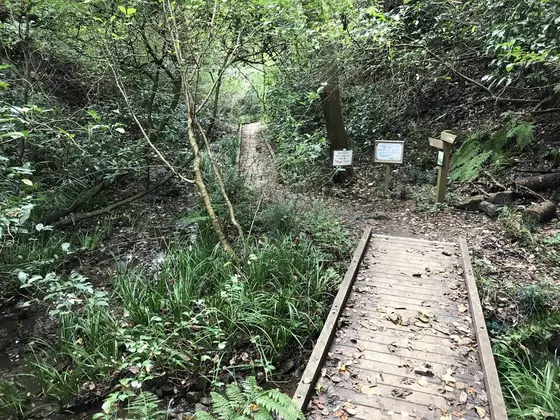 沢に辿り着きました。