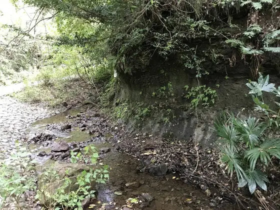 川のせせらぎが心地よい