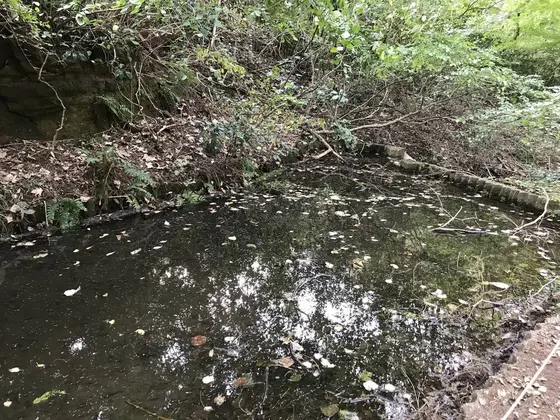 池の前は広場