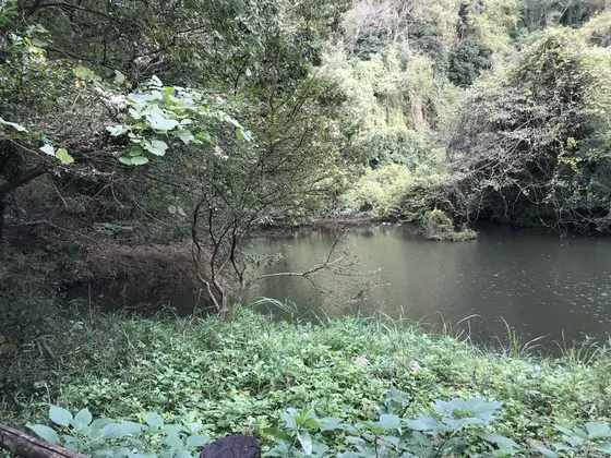 奥の方もパシャり