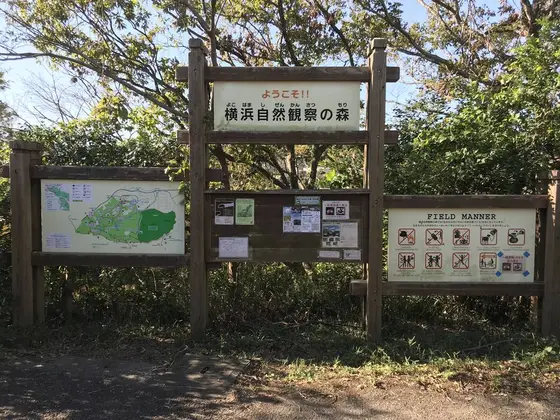 さて、森に入ります。