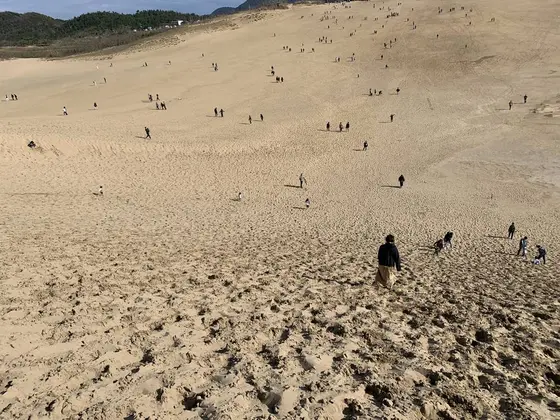鳥取砂丘