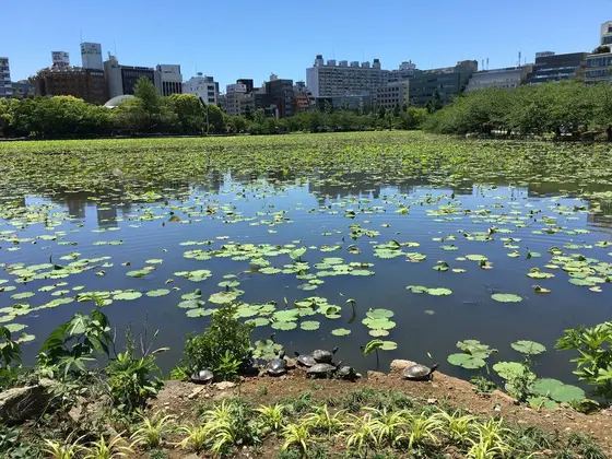 スポット内のおすすめ