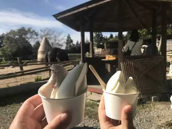 スポット内のおすすめ