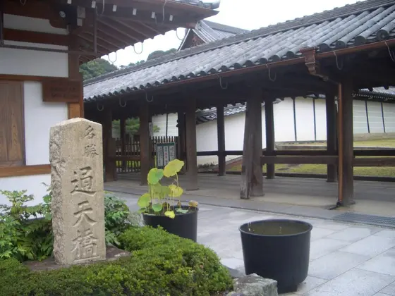 通天橋