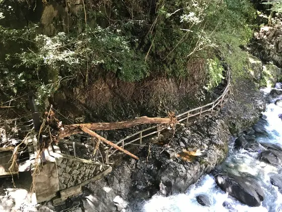 台風15号の爪痕