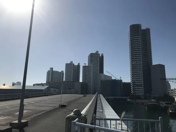 海側からだんだんと高くなるビル群